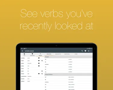 German Verb Conjugator Pro screenshot 23