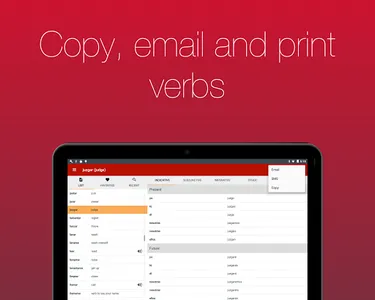 Spanish Verb Conjugator screenshot 15