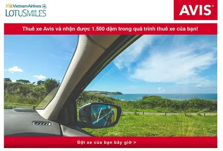 AVISCAR screenshot 1