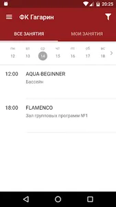 ФК Гагарин screenshot 1