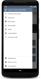 Студия пилатеса Grâce Féline screenshot 2