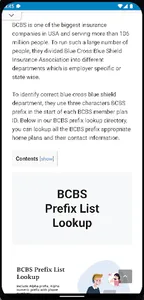 BCBS Prefix List Lookup screenshot 0