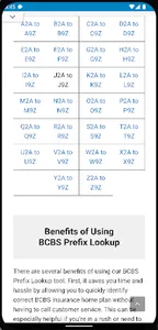 BCBS Prefix List Lookup screenshot 2