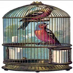 Bird cage screenshot 1