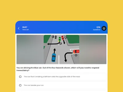 Driving Theory Test for NZ screenshot 11