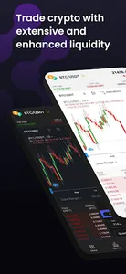 IXFI screenshot 7