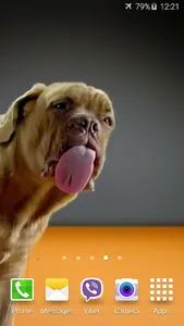 Dog Licks Screen 4K Wallpaper screenshot 2