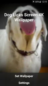 Dog Licks Screen 4K Wallpaper screenshot 5