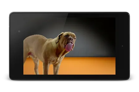 Dog Licks Screen 4K Wallpaper screenshot 6