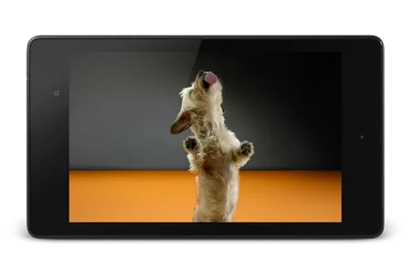 Dog Licks Screen 4K Wallpaper screenshot 7