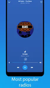 Blues Music screenshot 4