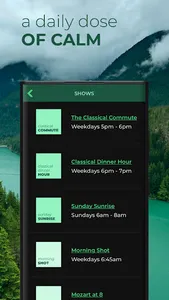 Classical KING screenshot 13