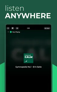 Classical KING screenshot 29