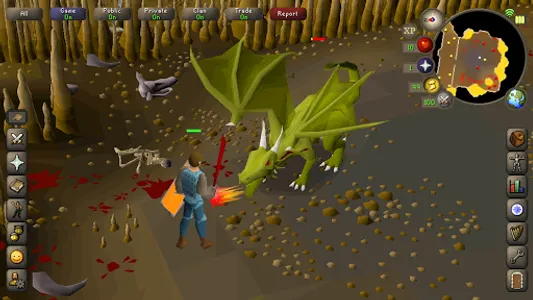 Old School RuneScape screenshot 6