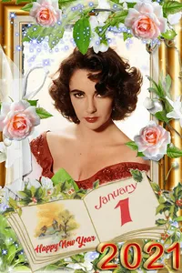 Happy New Year DP Photo Frame screenshot 0