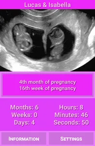 my Pregnancy App screenshot 2