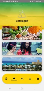 JamrAAk - Jamaican Translator screenshot 2