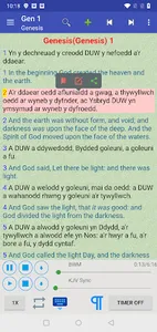 Welsh English Audio Holy Bible screenshot 0