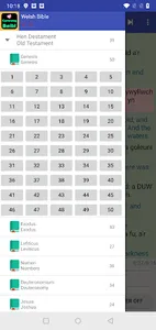 Welsh English Audio Holy Bible screenshot 1