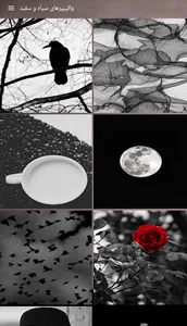 والپیپرهای سیاه و سفید(black w screenshot 1