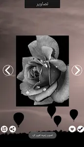 والپیپرهای سیاه و سفید(black w screenshot 4