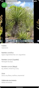 JECAM screenshot 3