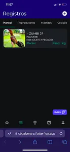 CB Galo Mura screenshot 1