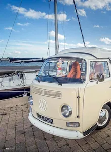 Volksworld Magazine screenshot 3