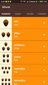 Miwok Language screenshot 0