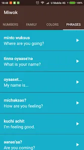 Miwok Language screenshot 3