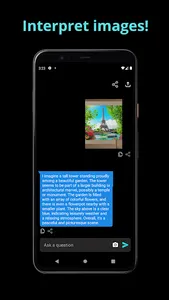 Wise AI Chatbot screenshot 5