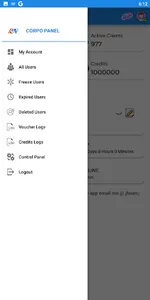 CORPO VPN PANEL screenshot 2