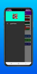 اختبار اعلام الدول العالم screenshot 6