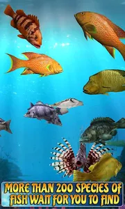 Fish Aquarium Games - Charming screenshot 3