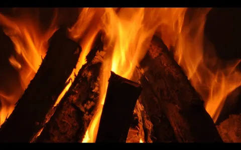 Open Fires Collection screenshot 0