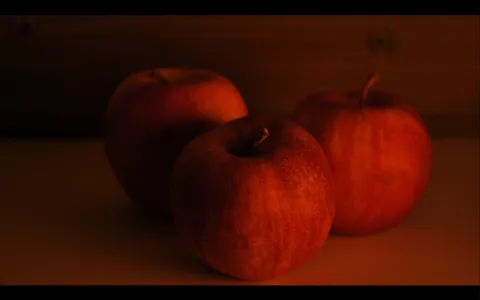 Open Fires Collection screenshot 4