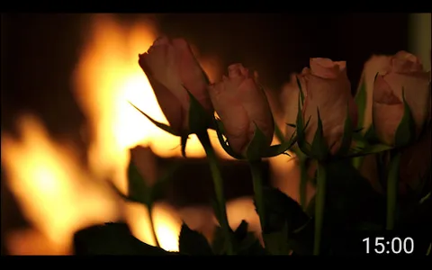 Open Fire – Full Version screenshot 3