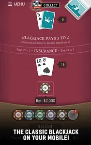 Blackjack 21 Jogatina: Casino screenshot 23