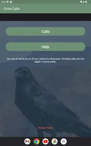 Crow Calls screenshot 3