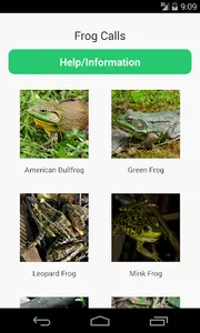 Frog Calls screenshot 0