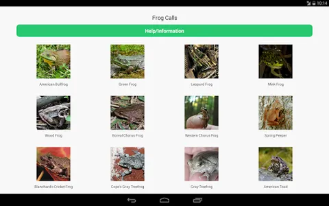 Frog Calls screenshot 3