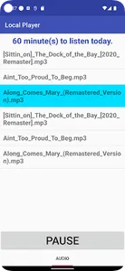 Audio Player Local screenshot 1