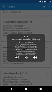 Dutch Conjugation screenshot 3