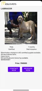 Josus Pets screenshot 2