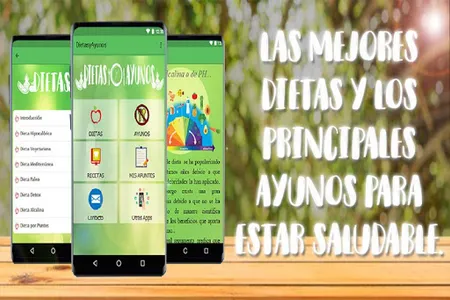 Dietas y Ayunos screenshot 0