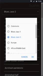 Guitar Chords and Scales screenshot 6