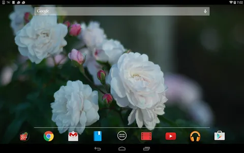 バラの壁紙　薔薇 screenshot 4