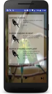 Singing Budgies screenshot 0