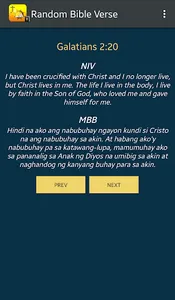 Random Bible Verse screenshot 3