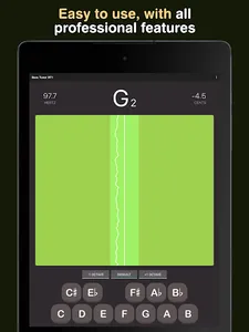 Bass Tuner BT1 screenshot 20